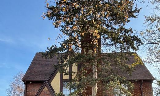 21440 Lathrup Street, Southfield, MI 48075: Beuatiful 3 Bedroom, 2 Bath Southfield Tudor - FOR LEASE